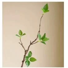 44CM Artificial New Foam Withered Branches And Tender Buds Floral Art Home Dining Table Decoration Flower Arrangement Materials - Green - View 2