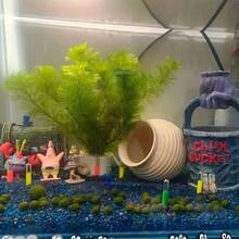 Small/Medium Aquarium Decor Fish Hiding Cave, Breeding Ceramic Pot Ornament