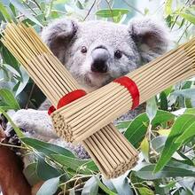 8.66 英寸优质桉树香薰棒，适用于空气净化、瑜伽、冥想、帮助净化、阅读、品茶和放松