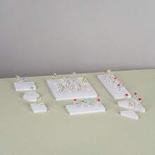 Acrylic Ring Display Stand, Multi-Type Ceramic White Jewelry Organizer Holder For Rings, Tabletop Display - Multicolor - View 8