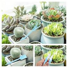 Succulent Plants Tools,15Pcs Mini Garden Tools Set Mini Garden Hand Transplanting Succulent Tools Gardening Hand Tools Indoor Miniature Fairy Garden Plant Care Potting,Cactus Kit
