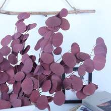 Preserved Dried Eucalyptus Stems, Purple Eucalyptus Leaves, 4- 10 Pcs Silver Dollar Leaves For Vase Filler, 14- 17' ' Dried Plants Garland For Wreath Wedding Home Farmhouse Party Decor