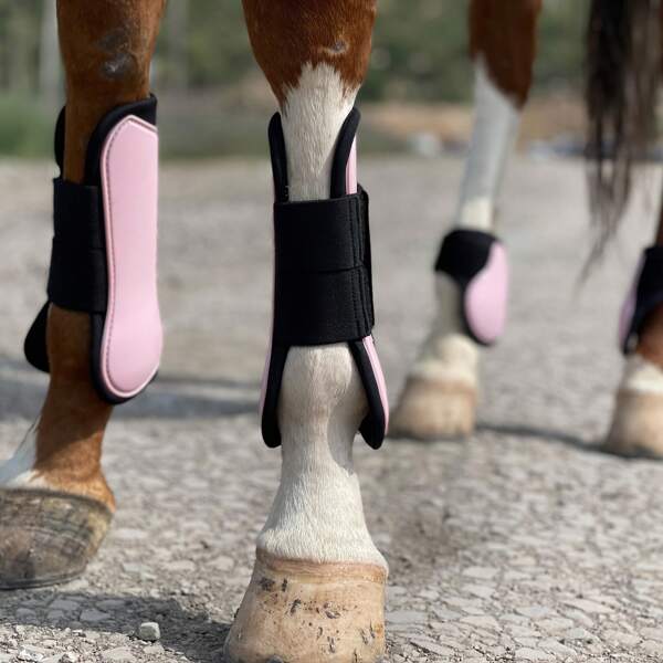 RIDE NOW 1 Set mit 4 Stücke Pferde Sport Stiefel, offene Front/Fesselbeinhülle, PU Neopren Pferde Bein Schutzstiefel, Pferde Schienenbeinschutz Stiefel für Beinschutz und -unterstützung, geeignet für Training, Rennen, Reiten, Springen, in den Größen Small, Medium und Large erhältlich