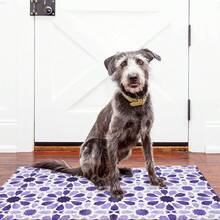 Floral Boho Welcome Door Mats Doormat Outdoor Indoor Entrance, Indoor Door Mats For Entryway, Entrance Door Mat, Non-Slip Rubber Backing Doormat Low Profile Welcome Door Mat For Entryway Indoor Outdoor Rug For Front Door, Entrance, Kitchen,Yard-16"X24", 18"X30" - 紫色 - 查看 3