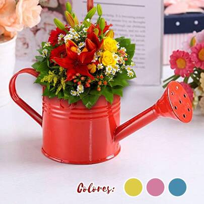 CASAMAX WL Mini Regadera de Metal ø6x6 cm / EL COLOR SE ENVÍA AL AZAR /