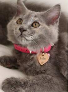 [Customized] 1 Pc With Elegant Gift Box Personalized Hollow Paw Print Heart-Shaped Stainless Steel Pet ID Tag, Can Customize Pet Name On Front, Contact Info & Address On Back, Anti-Lost Pet ID Tag Suitable For Small, Medium And Large Dogs And Cats