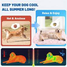Pet Cooling Mat Ice Cooling Mat For Dogs & Cats Portable & Washable Pet Cooling Blanket, Car Seats, Beds For Summer, Cats Cooling Mat, Premium Pets Cool Pad For Crate Kennel, Indoor Cats Cool Sleeping Bed, Pets Cool Pad For Summer - Multicolor - View 9