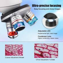 Microscopio compuesto binocular con 4 objetivos, aumento de 40X a 2500X, actualizado con luces LED superior e inferior, incluye oculares y accesorios de observación, microscopio de sobremesa con armazón de metal para experimentos científicos