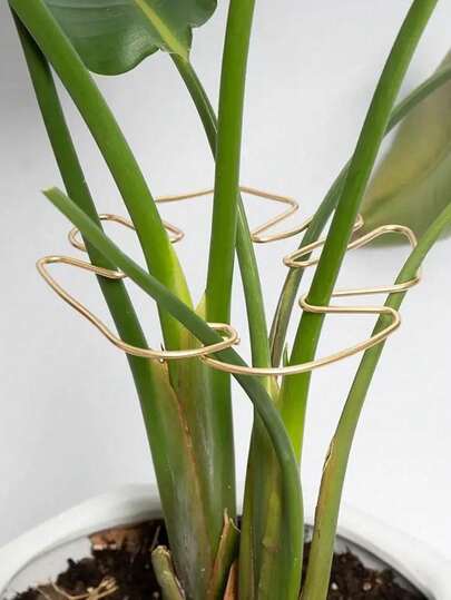 植物茎支撑，可重复使用的金属攀爬植物茎支撑桩，耐用的龟背竹稳定器抓钩支架，独特的攀爬植物设计，龟背竹夹套装，促进植物蓬勃发展的理想植物支撑