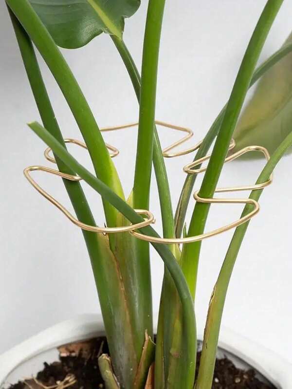 Plant Stem Support, Durable Monstera Stabilizer Grapple Holder, Unique Design For Climbing Plants, Turtle Shell Bamboo Clamp Set, Ideal Plant Support For Thriving Growth