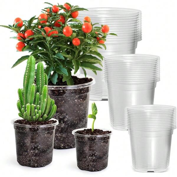 36 paquetes de macetas de vivero transparentes con agujeros de drenaje - 3 tamaños (6", 5", 3.5") de plástico ligero y duradero reforzado para jardinería interior/exterior, semilleros, hierbas, suculentas, ideal para proyectos de jardinería y viveros