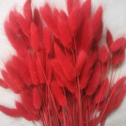 60/120Pcs Dried Natural Flowers Decoration, Natural Dried Rabbit Tail Grass Flowers, Dried Pampas Grass, Used For Home Decor, Wedding Decor, Party Decor, DIY Craft, Shooting Props, Theme Decoration, 17.7inch (Red)