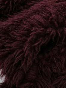 Seelio Women's Autumn/Winter Faux Fur Short Jacket, Warm, , Oversized, Fashionable, Viral New Arrival Thick Winter Coat - Burgundy - View 10