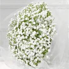 1 PIEZA/3 PIEZAS/6 PIEZAS/12 PIEZAS Flor artificial de Gypsophila con múltiples ramas, Bouquet falso de Paniculata de 28 cm apto para decoración de boda, decoración del Día de San Valentín, decoración de cumpleaños, decoración de aniversario, decoración del hogar, decoración de mesa, decoración de dormitorio y baño, decoración de escritorio, decoración de otoño, decoración de otoño, decoración de mesa, decoración de maceta de plantas - Multicolor - Ver 9
