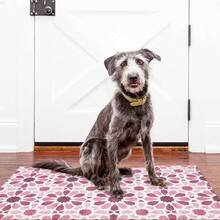 Floral Boho Welcome Door Mats Doormat Outdoor Indoor Entrance, Indoor Door Mats For Entryway, Entrance Door Mat, Non-Slip Rubber Backing Doormat Low Profile Welcome Door Mat For Entryway Indoor Outdoor Rug For Front Door, Entrance, Kitchen,Yard-16"X24", 18"X30" - Hồng - Xem 3