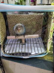 1 pieza Bolso transportador de mascotas transpirable, jaula de transporte cruzada diagonalmente, jaula de reptiles, transportador de mascotas de malla transparente