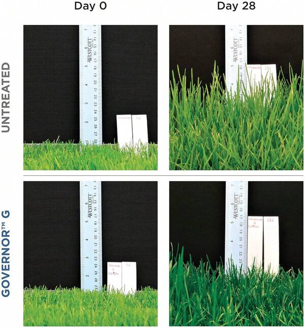 The Andersons Governor G Granular Lawn Growth Regulator - Covers Up To 20,000 Sq Ft (34 Lb)