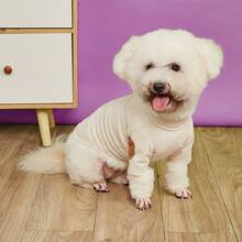 Hanorac cu guler înalt din catifea reiată, îmbrăcăminte în blocuri de culori, strat de bază pentru toamnă/iarnă, potrivit pentru câini de talie mică și medie