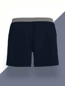 男士夏季印花图案抽绳腰斜口袋夏威夷速干双层网眼内衬短裤，海鸥撞色3D艺术印花，时尚休闲沙滩度假泳裤 - 彩色 - 查看 4