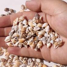 30g/Packung gemischte Größen gebohrte kleine Muscheln, DIY Handwerks-Perlenherstellung Schmuckzubehör
