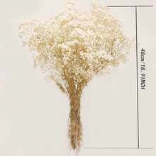 Flores de Novia Llorona: 40g/70g/100g Gypsophila (48cm) ramo blanco marfil seco, flores secas artificiales a granel para jarrones, fiestas de jardín y decoración de bodas bohemias (no incluye el jarrón)