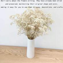 Flores de Novia Llorona: 40g/70g/100g Gypsophila (48cm) ramo blanco marfil seco, flores secas artificiales a granel para jarrones, fiestas de jardín y decoración de bodas bohemias (no incluye el jarrón)