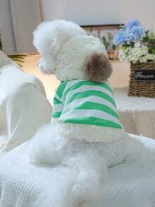 PETCIRCLE 1件寵物衣服 比熊泰迪小狗幼犬連帽寵物上衣 防風休閒可愛寵物上衣 條紋毛球連帽衫 綠色與白色條紋 - 彩色 - 查看 1