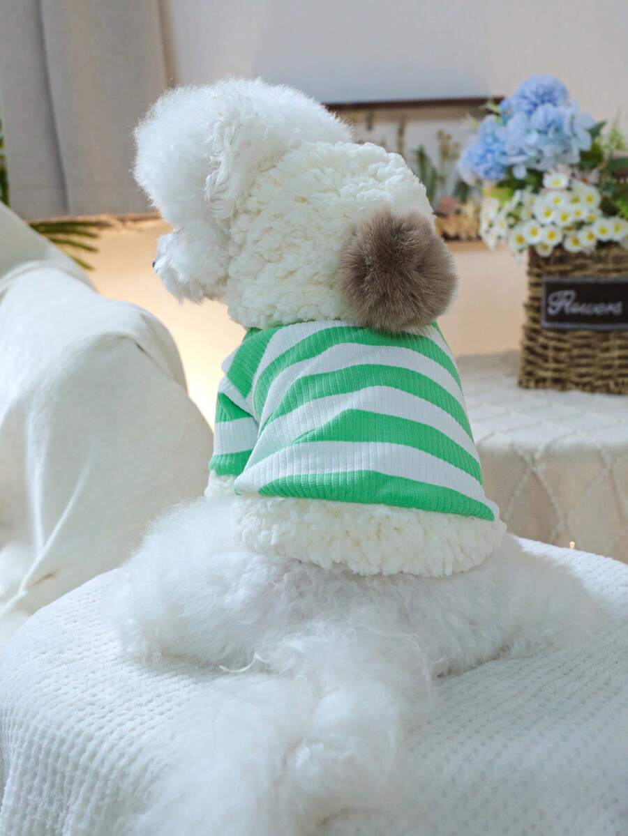 PETCIRCLE 1件寵物衣服 比熊泰迪小狗幼犬連帽寵物上衣 防風休閒可愛寵物上衣 條紋毛球連帽衫 綠色與白色條紋 - 彩色 - 查看 1