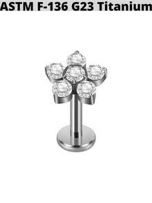 1 件 G23 钛金 CZ 花朵/蝴蝶唇钉内螺纹 CZ 雪花耳轮耳屏软骨耳轮耳环身体穿孔首饰 - 如圖 - 查看 12