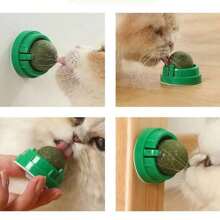 Nouvelle boule de menthe anti-perte auto-adhésive délicieuse à lécher pour chat, bâton à mâcher en forme de sucette, jouet pour chat, convient pour les vacances, la rentrée scolaire, Thanksgiving, Halloween