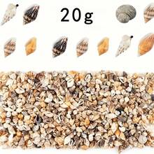 20克/500个混合天然小贝壳，适用于手工制作，多种颜色迷你贝壳，海螺，可用于创意项目和装饰展示，天然材料