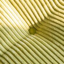 MAXYOYO 6-Inch Tri-Fold Mattress,Corduroy Folding Mattress,Double Foam Bed,Foldable Floor Mattress,Guest Bed Mattress Cover,Memory Foam Mattress Cover,Portable Camping Sleeping Bed