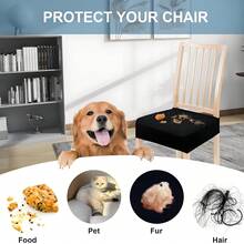 4/6 Pcs  Solid Color Dining Chair Cover Set, Dust And Stain Resistant Stretch Jacquard Removable Washable Chair Seat Cover Protector, Solid Brushed High Stretch Chair Seat Cover, Soft And Comfortable Chair Cover, Dust And Stain Resistant, Suitable For Dining Chairs, Office And Home Decoration, Dining Chair Cover, Dining Chair Cover, Kitchen Chair Cover, Dining Chair Cover Black, Gray. - Nhiều màu - Xem 8