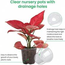 36 Packs Clear Nursery Pots With Drainage Holes - 3 Sizes (6", 5", 3.5") Lightweight Durable Reinforced Plastic Planters For Indoor/Outdoor Gardening, Seedlings, Herbs, Succulents, Ideal For Greening Projects And Garden Nurseries - Clear - View 2
