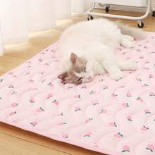 Pet Cooling Mat Ice Cooling Mat For Dogs & Cats Portable & Washable Pet Cooling Blanket, Car Seats, Beds For Summer, Cats Cooling Mat, Premium Pets Cool Pad For Crate Kennel, Indoor Cats Cool Sleeping Bed, Pets Cool Pad For Summer - Multicolor - View 1