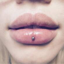 CIZME 10 件唇环唇钉软骨耳环，唇钉耳屏软骨 16G 6MM 8MM 耳钉，内螺纹不锈钢，螺旋唇梦露美杜莎海螺，多功能穿孔珠宝 - 內螺紋 - 查看 8