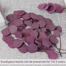 Preserved Dried Eucalyptus Stems, Purple Eucalyptus Leaves, 4- 10 Pcs Silver Dollar Leaves For Vase Filler, 14- 17' ' Dried Plants Garland For Wreath Wedding Home Farmhouse Party Decor