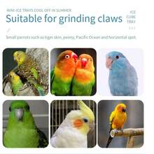 2 件装鹦鹉栖木砂纸杆玩具支架棒抓爪器磨爪棒