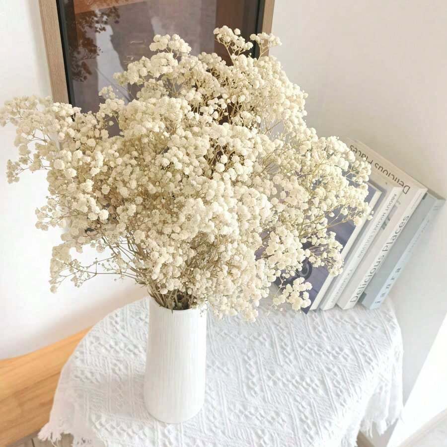 Flores de Novia Llorona: 40g/70g/100g Gypsophila (48cm) ramo blanco marfil seco, flores secas artificiales a granel para jarrones, fiestas de jardín y decoración de bodas bohemias (no incluye el jarrón)