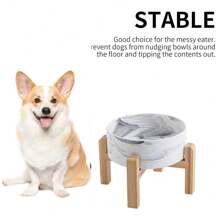 Elevated Raised Cat Bowl Ceramic Dog Bowl For Small Medium Dogs Food Water Bowl With Stand Heavy Weighted Pet Feeding Bowl Ceramic Dog Dish Marble