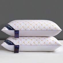 2pcs Set Embroidered H Letter Pillows (With Filling), Soft And Skin-Friendly Suitable For Bedroom Home Use - White - View 4