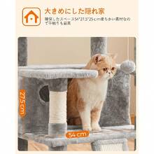 Cat Tunnels - Gris - Ver 5