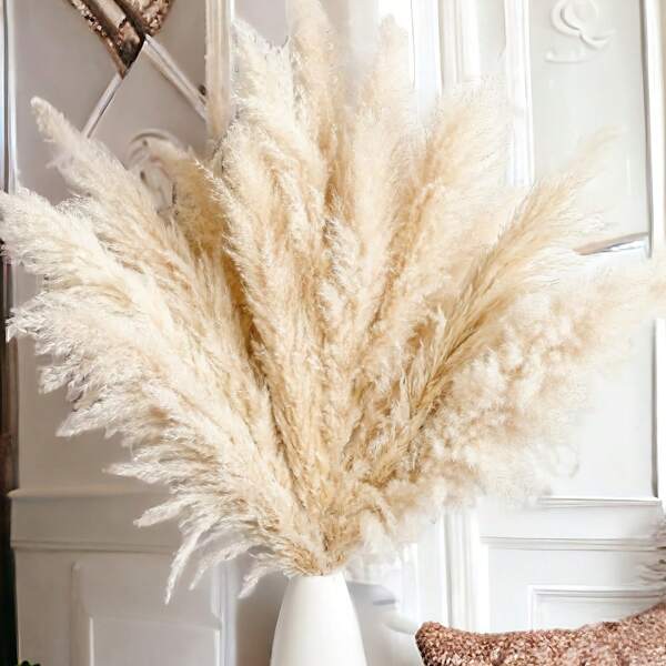 Decoraciones de 100 cm de hierba pampa bohemia - Ramo seco de textura aterciopelada para jarrón de piso/exhibición de pared | Centros de mesa de estilo natural y bohemio para granja y boda | Decoraciones a granel para Navidad/Halloween/Pascua/Acción de Gracias/Graduación
