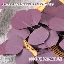Preserved Dried Eucalyptus Stems, Purple Eucalyptus Leaves, 4- 10 Pcs Silver Dollar Leaves For Vase Filler, 14- 17' ' Dried Plants Garland For Wreath Wedding Home Farmhouse Party Decor