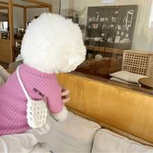 Solid Color Letter Printed Sweatshirt Elastic Pullover Fashionable Pet Clothes For Small And Medium Dogs - White - View 11