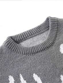 1pc Tween Boy Round Neck Long Sleeve Pattern Detail Casual Sweater