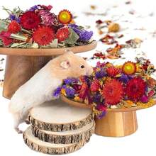 50-160pcs Christmas Decorations Hala Tool Hamster Moss, 100% Natural Moss Suitable For Rabbits, Squirrels, Hamsters, Guinea Pigs And Other Small Animals, Used As Pet Cage Accessories, Terrarium, Reptiles, Plant Room Decor