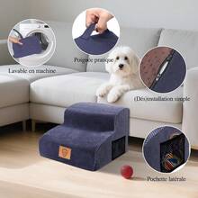 Scale e gradini per cani