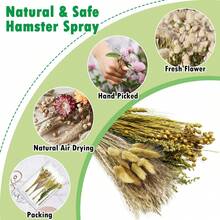 50/100 Pcs/Set Christmas Decoration, PINVNBY Natural Flower & Herbs Hamster Bedding Habitat Decor, Hamster Spray, Hamster Cage Accessories, Dwarf Hamster, Mice, Small Rodent (Grain Version) Room Decor/Ornament