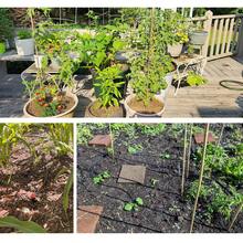 226FT Automatic Drip Irrigation Kit - Effortless Plant Watering System With Adjustable Nozzles And Patio Misting - Perfect For Thriving Gardens And Greenhouses - 黑色 - 查看 6